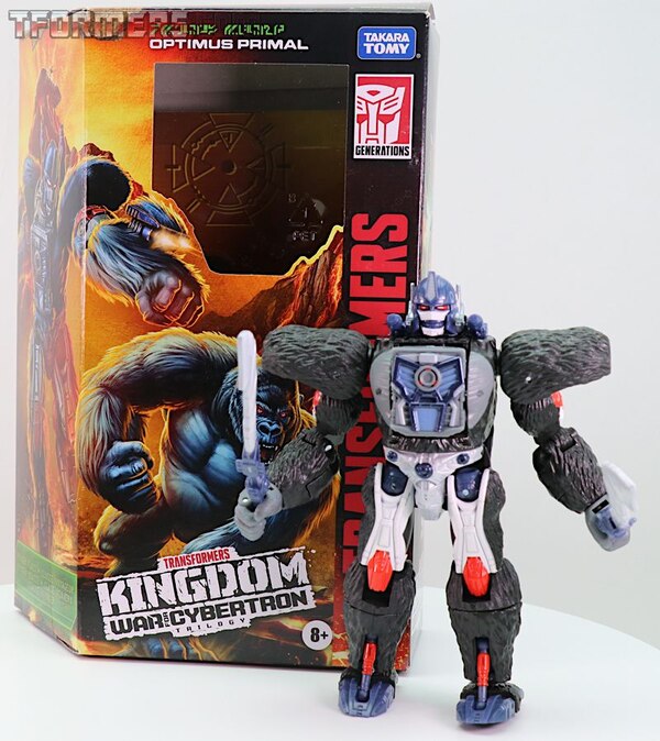 Transformers Kingdom Wave 1 Optimus Primal  (31 of 55)